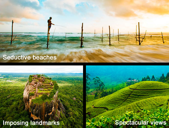 Stilt fishers in Hikkaduwa, Sigiriya Fortress and tea plantation in the highlands, Sri Lanka